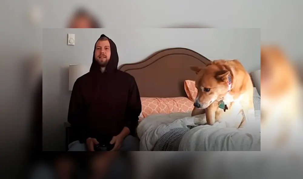 Desliza hacia la izquierda para ver las imágenes del video viral de Facebook.