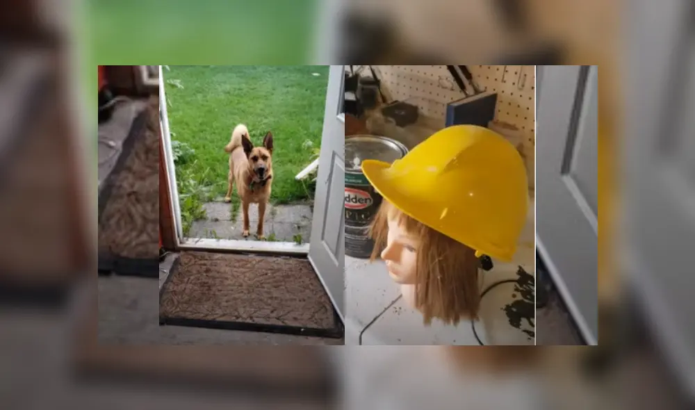 Desliza hacia la izquierda para ver más del video viral. Fotocaptura: YouTube Desliza hacia la izquierda para ver más del video viral. Fotocaptura: YouTube