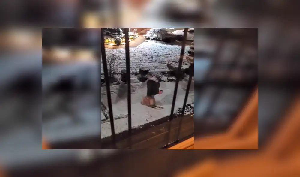 En Facebook, un hombre quería sorprender a su pareja con un amoroso gesto en la nieve y ella lo descubre. En Facebook, un hombre quería sorprender a su pareja con un amoroso gesto en la nieve y ella lo descubre.