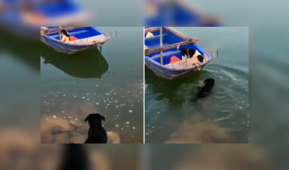 Desliza para ver los momentos más emotivos del video que se hizo viral en Facebook.