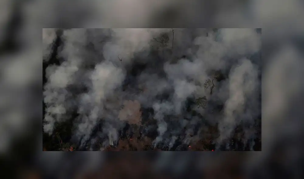 Pray for Amazonas: usuarios de todo el mundo lamentan el incendio en la amazonía de Brasil