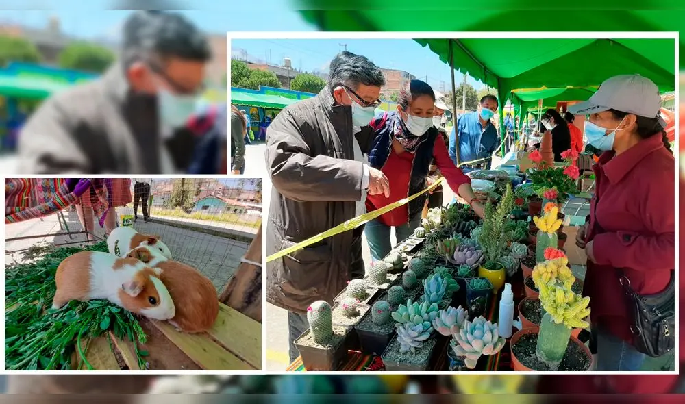 mercado itinerante de chimbote mercado itinerante de chimbote