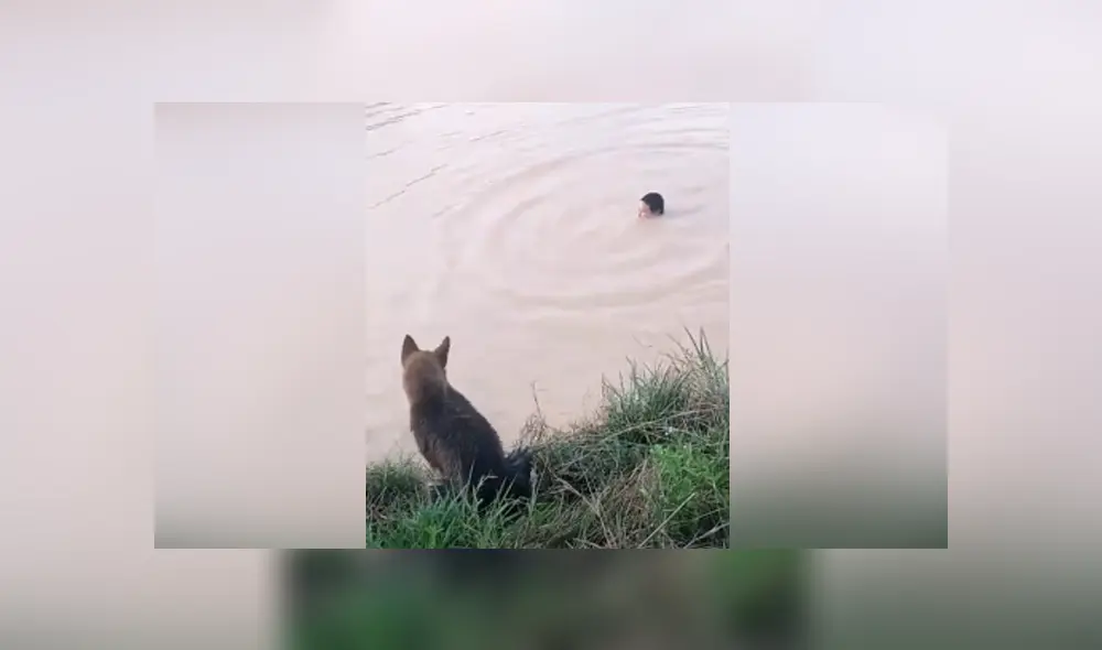 Desliza hacia la izquierda para ver las imágenes del viral de YouTube. Foto: Captura. Desliza hacia la izquierda para ver las imágenes del viral de YouTube. Foto: Captura.