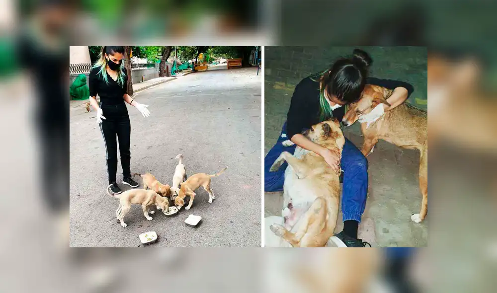 Desliza hacia la izquierda para ver las fotos virales de Facebook. Desliza hacia la izquierda para ver las fotos virales de Facebook.