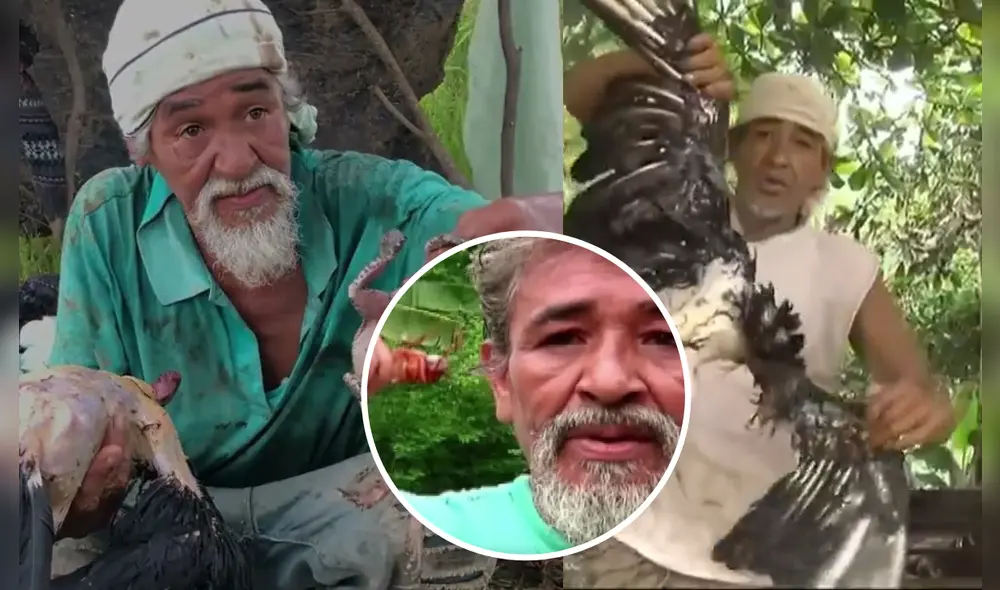 Foto: composición LR/Dominical Foto: composición LR/Dominical