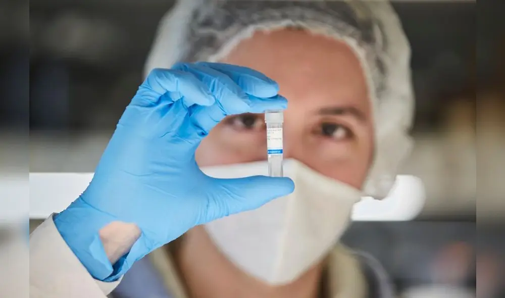 El suero de caballos para combatir el coronavirus en Argentina podría probarse en pacientes en julio próximo. (Foto: Internet)