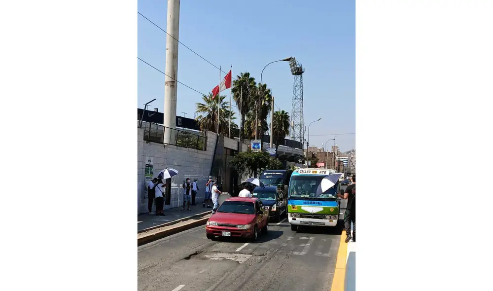 Alianza Lima: Retrato de Perico León en los alrededores del estadio de Matute. Foto: David Palomino Alianza Lima: Retrato de Perico León en los alrededores del estadio de Matute. Foto: David Palomino