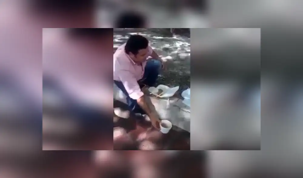 Desliza las imágenes hacia la izquierda para conocer las fechorías que cometieron dos perros callejeros. Foto: Captura.