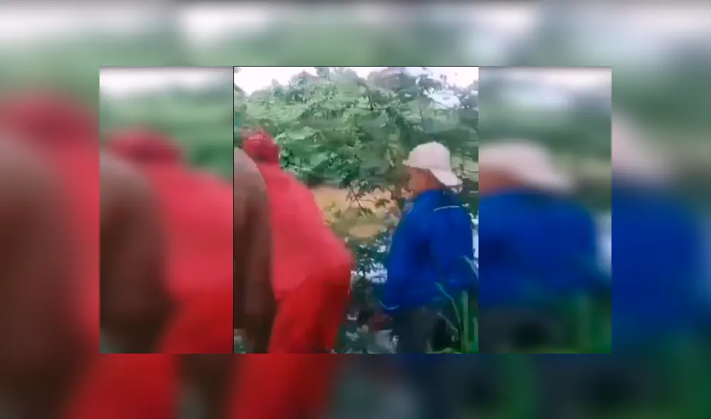 La fundación Amigos y Patas pidieron que se identifiquen a los responsables del “maltrato animal”. (Captura: Red Uno) La fundación Amigos y Patas pidieron que se identifiquen a los responsables del “maltrato animal”. (Captura: Red Uno)