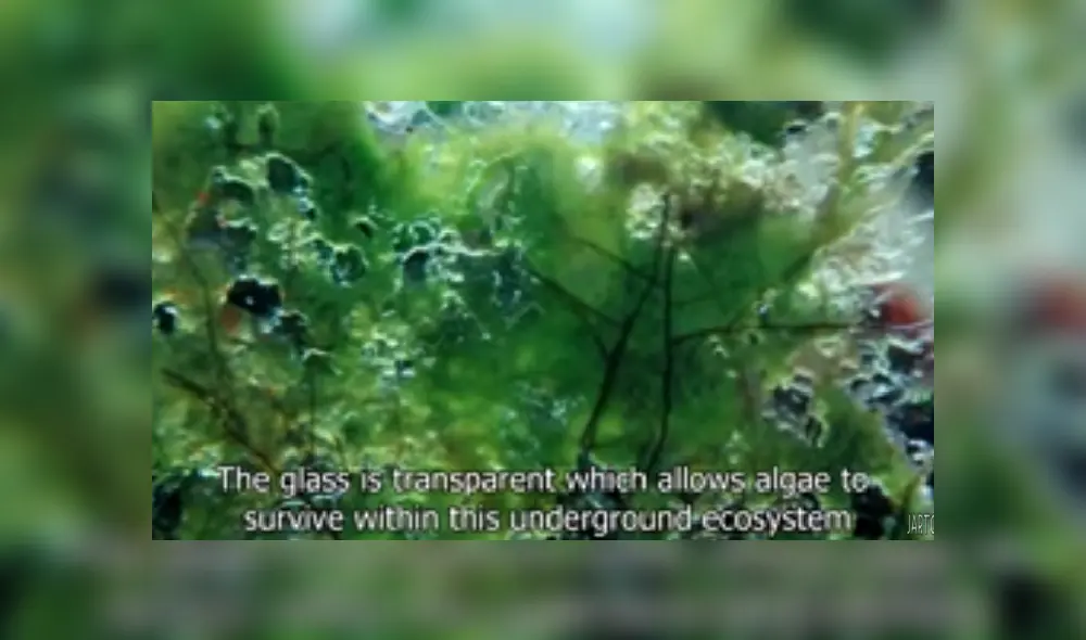 Desliza las imágenes para ver más detalles sobre este increíble experimento. (Foto: captura/Jartopia)