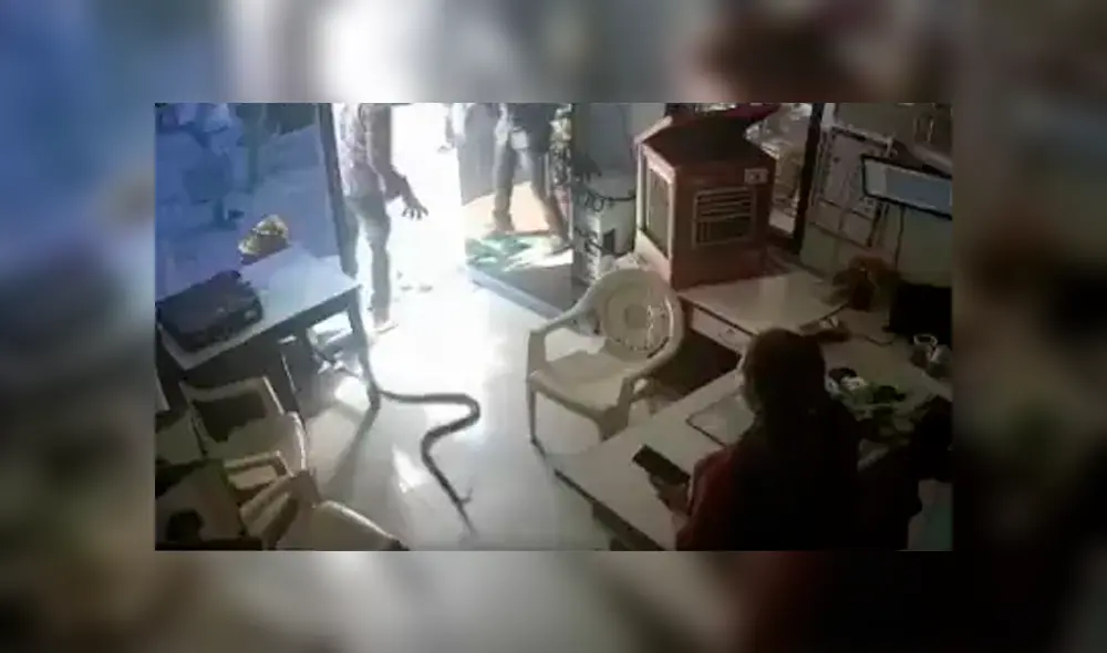 El autor del desagradable acto todavía no ha sido detenido por los efectivos policiales. Foto: Captura/Maharashtra Times El autor del desagradable acto todavía no ha sido detenido por los efectivos policiales. Foto: Captura/Maharashtra Times