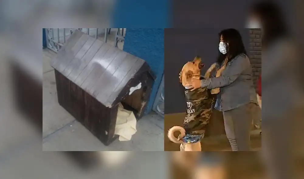 Firuco, como lo conocen en redes sociales al perro, recibe innumerables muestras de cariño. (Composición: Facebook Gonzalo San Cal)