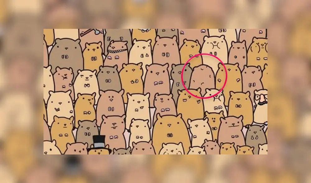 Desliza las imágenes para ver el lugar exacto en el que esta papa ha sido escondida en dicha fotografía. Foto: Facebook. Desliza las imágenes para ver el lugar exacto en el que esta papa ha sido escondida en dicha fotografía. Foto: Facebook.