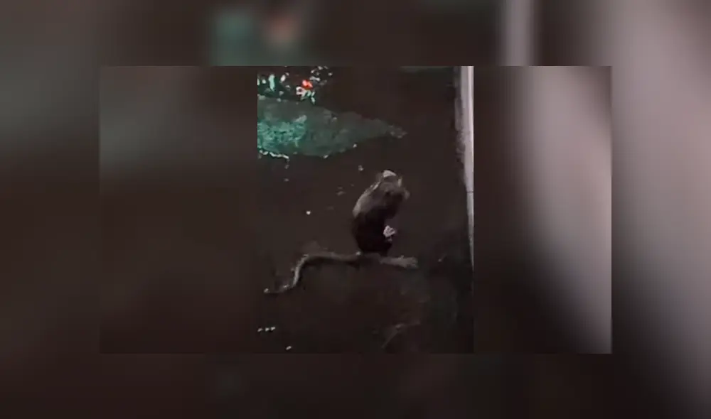 Desliza hacia la izquierda para ver más del video viral. Fotocaptura: YouTube Desliza hacia la izquierda para ver más del video viral. Fotocaptura: YouTube