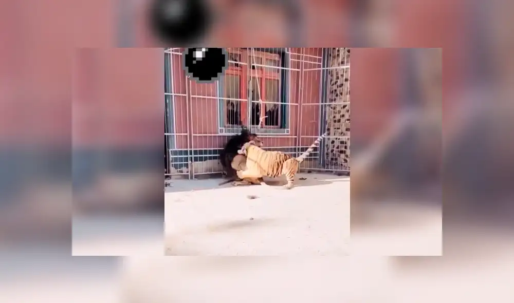 Desliza la imagen de YouTube para verlas todas. Foto: captura