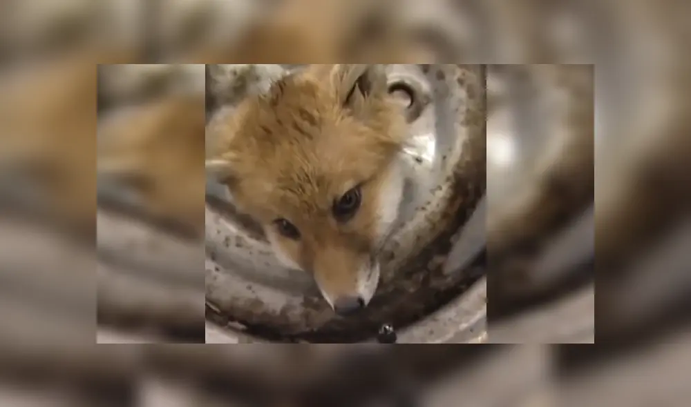 Desliza las imágenes para ver más detalles de esta conmovedora escena que es viral en Facebook. Desliza las imágenes para ver más detalles de esta conmovedora escena que es viral en Facebook.