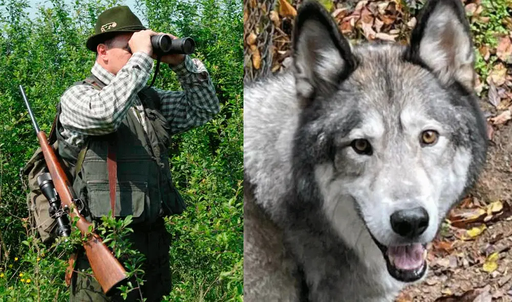 La familia exigió a las autoridades que revoquen los permisos de caza del responsable de la muerte de Hunter. Foto: composición LR / 20 Minutos