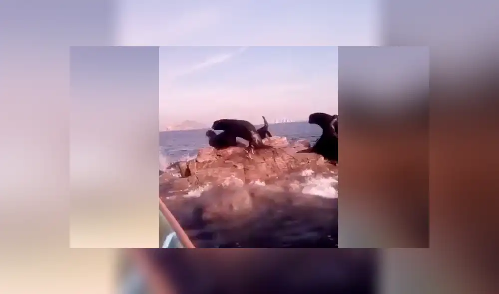 Desliza para ver los momentos más divertidos del video que se hizo viral en Facebook.