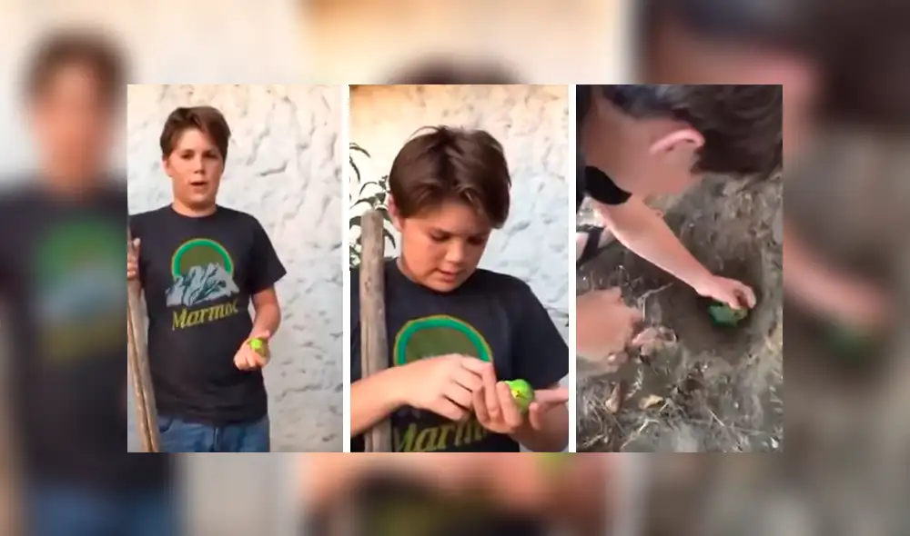 Facebook Viral: niño quiere enterrar a su cotorra muerta, pero su perro aparece y lo arruina todo [VIDEOS]