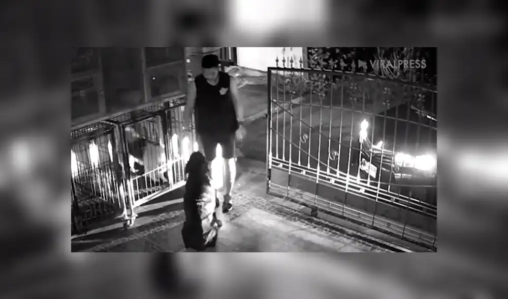 En Facebook se compartió el registro de una cámara de seguridad que muestra la reacción de dos perros al ver a su dueño.