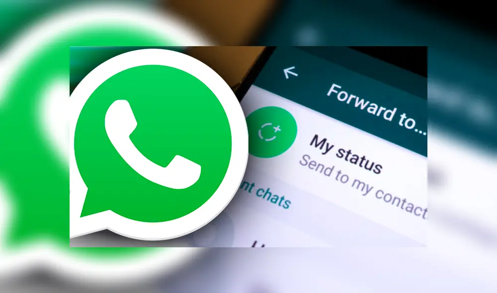 Conoce el momento perfecto para hacer una videollamada o enviar un mensaje importante. Imagen: Mumbai Live/WhatsApp.