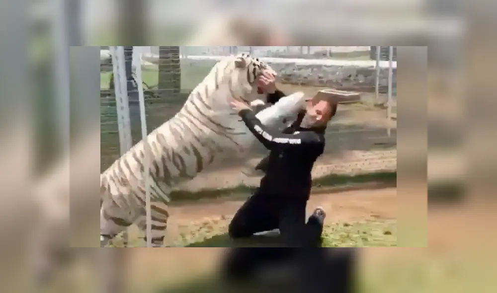 Desliza hacia la izquierda para ver el reencuentro que se hizo viral en YouTube. Desliza hacia la izquierda para ver el reencuentro que se hizo viral en YouTube.