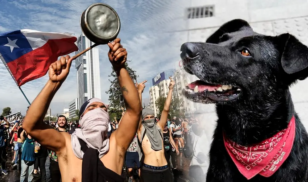 Foto: composición LR/Difusión/Facebook Negro Matapacos