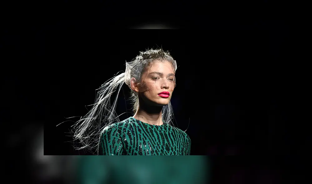 modelo trans modelo trans