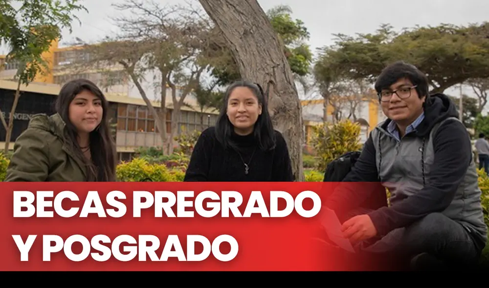 Conoce las becas de posgrado y pregrado en Perú. Foto: Pronabec Conoce las becas de posgrado y pregrado en Perú. Foto: Pronabec