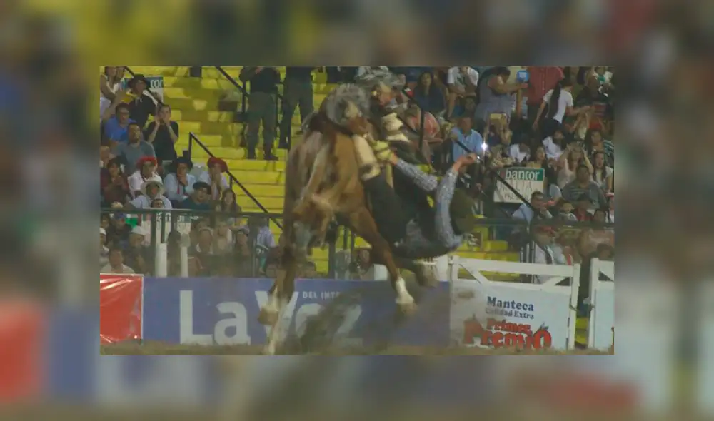 Jinete sufre violenta caída de su caballo durante competencia de doma [VIDEO]