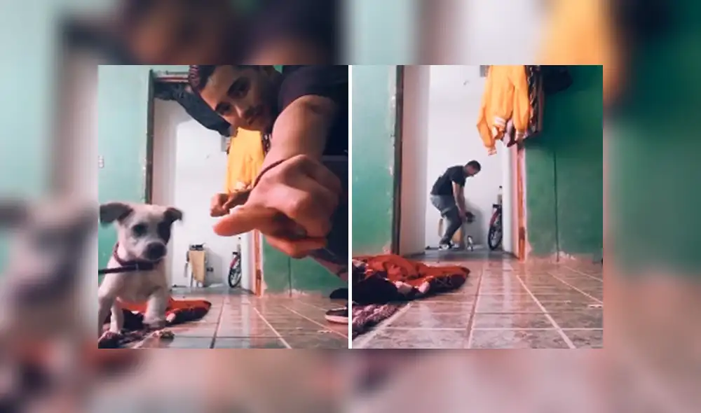 Desliza las imágenes para apreciar la conmovedora escena protagonizada por un joven junto a un perro. Desliza las imágenes para apreciar la conmovedora escena protagonizada por un joven junto a un perro.