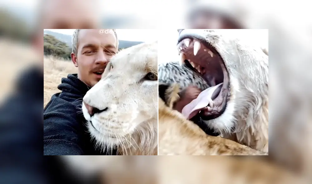 Desliza hacia la izquierda para ver las imágenes del viral de Facebook. Foto: Captura. Desliza hacia la izquierda para ver las imágenes del viral de Facebook. Foto: Captura.
