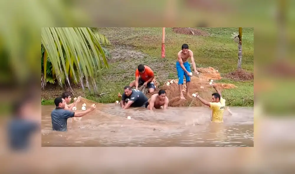 YouTube viral: Entran a pescar y quedan en shock al ver extrañas criaturas en su red [VIDEO]