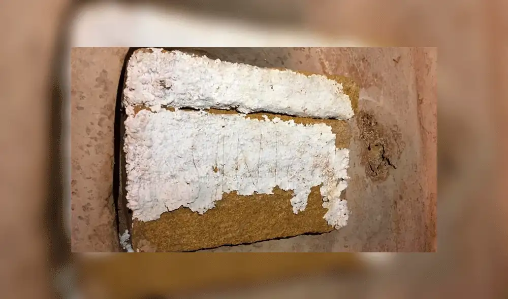 Descubren mausoleo de la época romana en vivienda de Sevilla, España. Foto: Ayuntamiento de Carmona