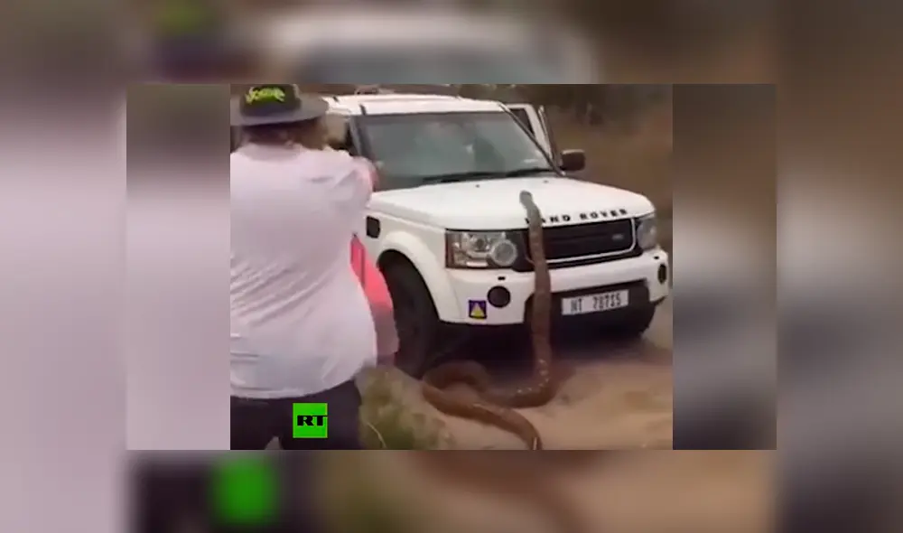 Un video viral de Facebook registró el momento en que unos hombres casi se convierten en la presa de una hambrienta pitón, luego de toparse ‘cara a cara’ en plena carretera. Un video viral de Facebook registró el momento en que unos hombres casi se convierten en la presa de una hambrienta pitón, luego de toparse ‘cara a cara’ en plena carretera.
