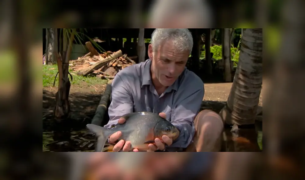 Desliza hacia la izquierda para ver la extraña apariencia del pez que capturó Jeremy Wade en 'Monstruos de río'. El video es viral en YouTube. Desliza hacia la izquierda para ver la extraña apariencia del pez que capturó Jeremy Wade en 'Monstruos de río'. El video es viral en YouTube.