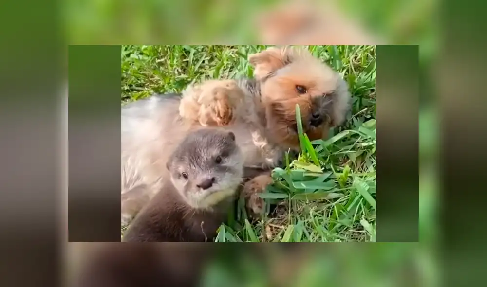 Desliza la imagen compartida de Facebook para verlas todas. Desliza la imagen compartida de Facebook para verlas todas.