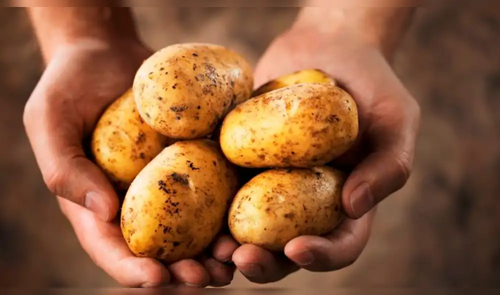 Productores celebran el Día de la Papa con caída de precios