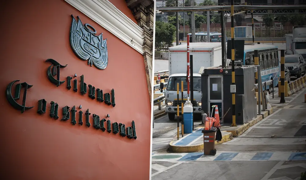 Tribunal Constitucional resaltó que hay contradicciones en los objetivos de la norma del Congreso. Composición: Gerson Cardoso/La República.