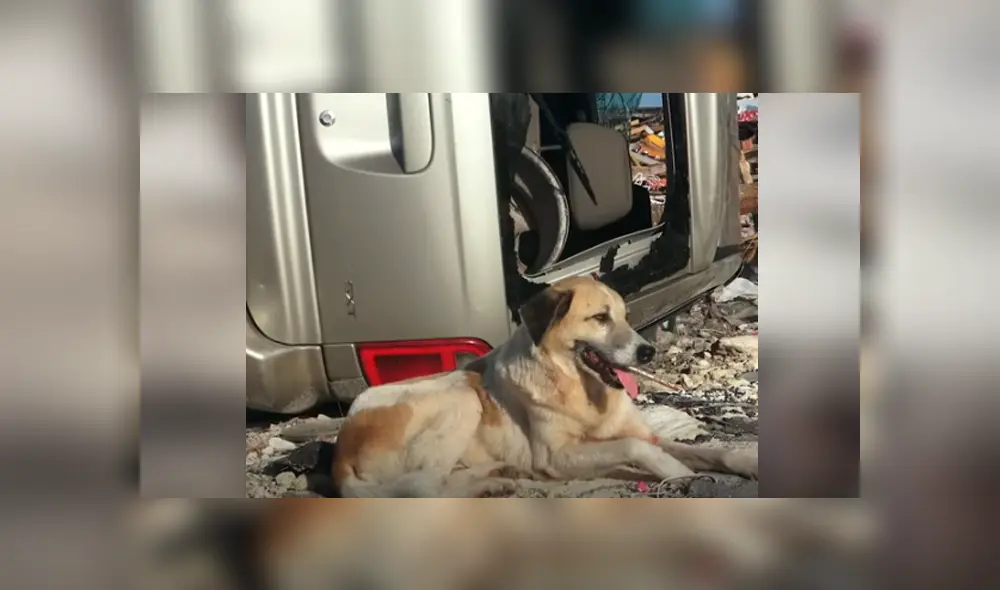 Desliza hacia la izquierda para ver el conmovedor rescate. Imágenes virales de Facebook. Desliza hacia la izquierda para ver el conmovedor rescate. Imágenes virales de Facebook.