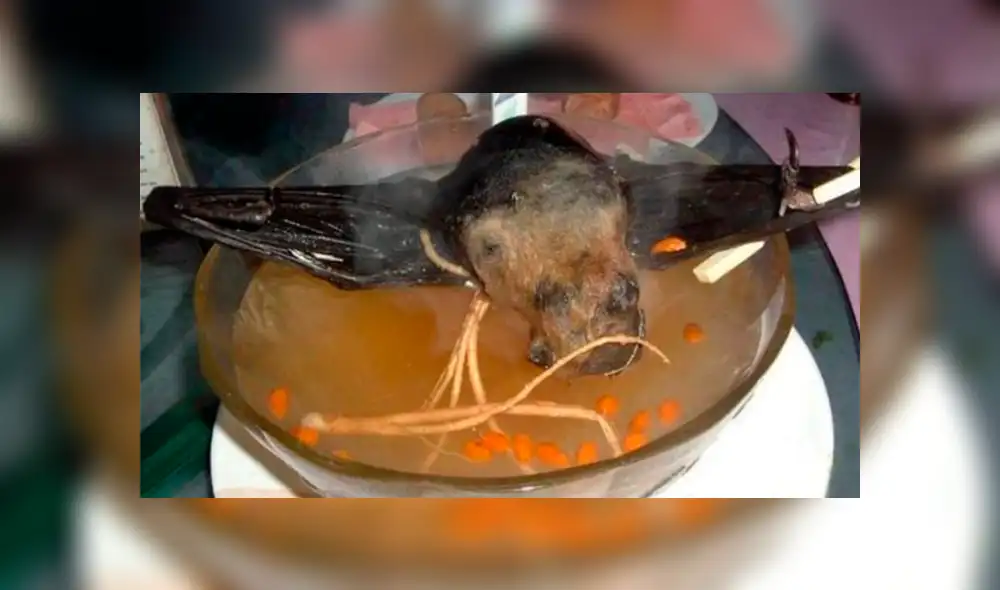 Sopa de murciélago coronavirus china Sopa de murciélago coronavirus china