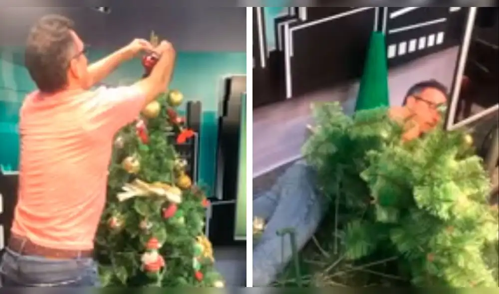 La gravedad le jugó en contra al locutor de radio, quien en un descuido, cayó sobre el árbol.