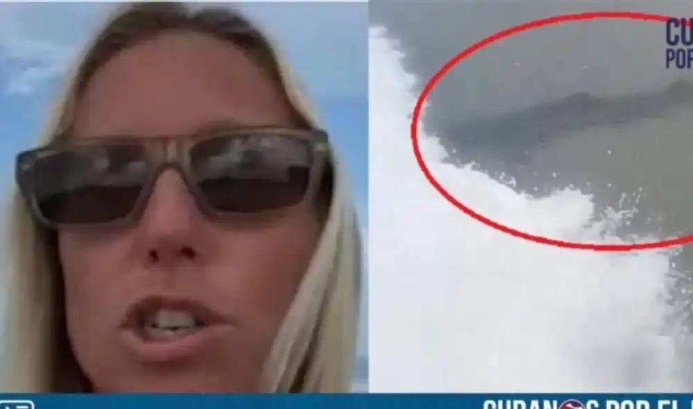 Desliza las imágenes para ver a los tiburones. Foto: YouTube/Captura/FOX 35