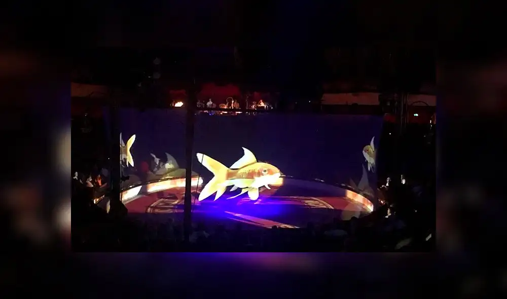 YouTube: circo de Alemania sorprende con show de animales en hologramas [VIDEO]