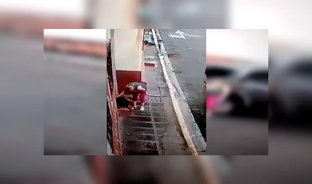 En Facebook, una señora se bajó de su auto para salvar la vida de un indefenso perro que tenía heridas en el cuerpo. En Facebook, una señora se bajó de su auto para salvar la vida de un indefenso perro que tenía heridas en el cuerpo.