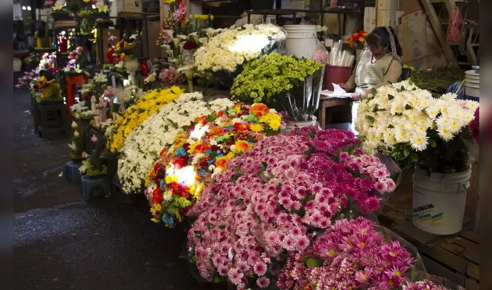 Asociación de Mercado de Flores y Plantas Asociación de Mercado de Flores y Plantas