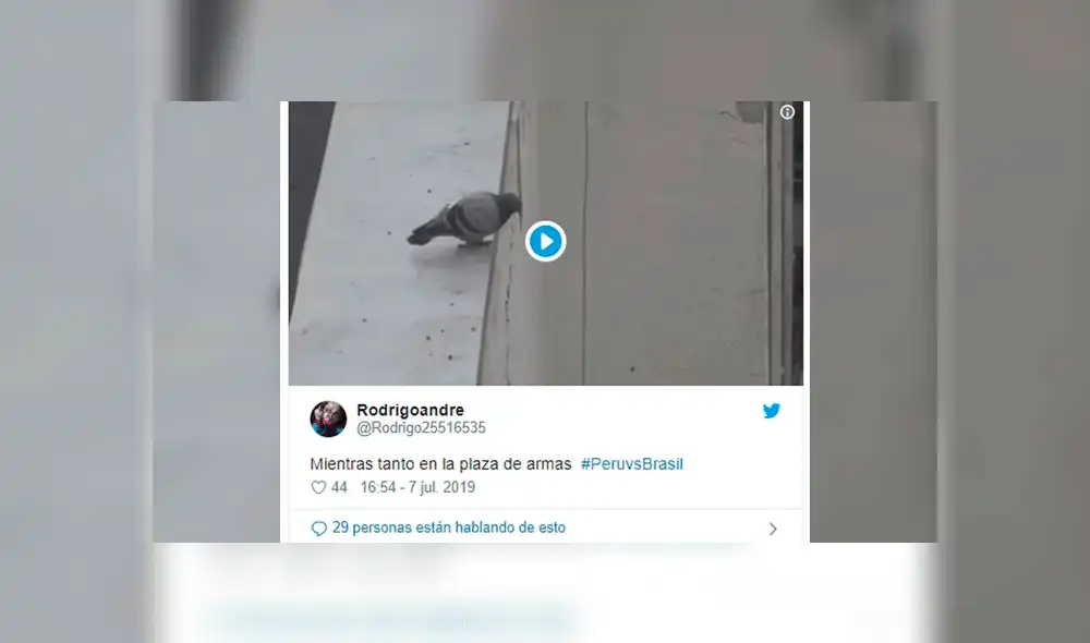 Chilenos crearon memes virales tras derrota peruana. Foto: Internet