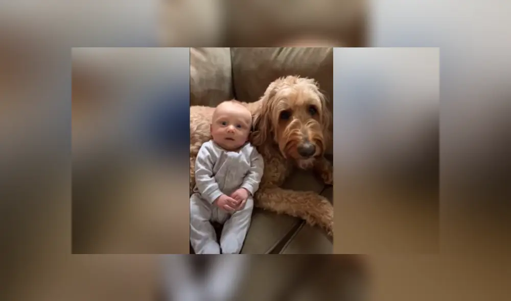 Desliza hacia la izquierda para ver las imágenes del viral de YouTube. Foto: Captura.