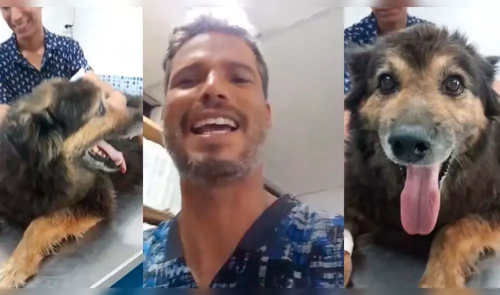 Pancho Cavero revela nombre y diagnóstico de 'Perrovaca' [VIDEO] 