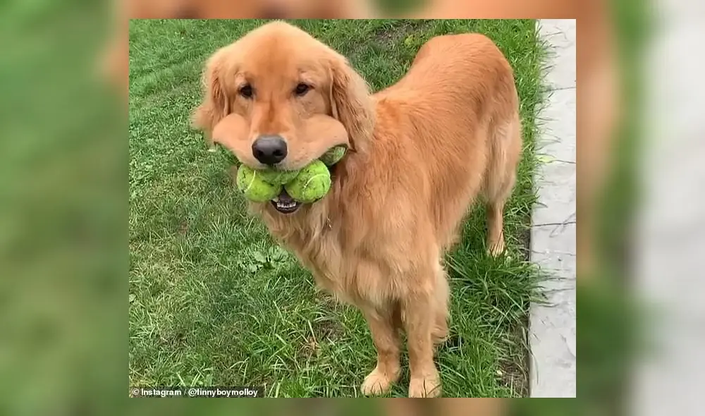Finley batió el récord mundial que estaba vigente desde el 2003. (Foto: Mail Online)